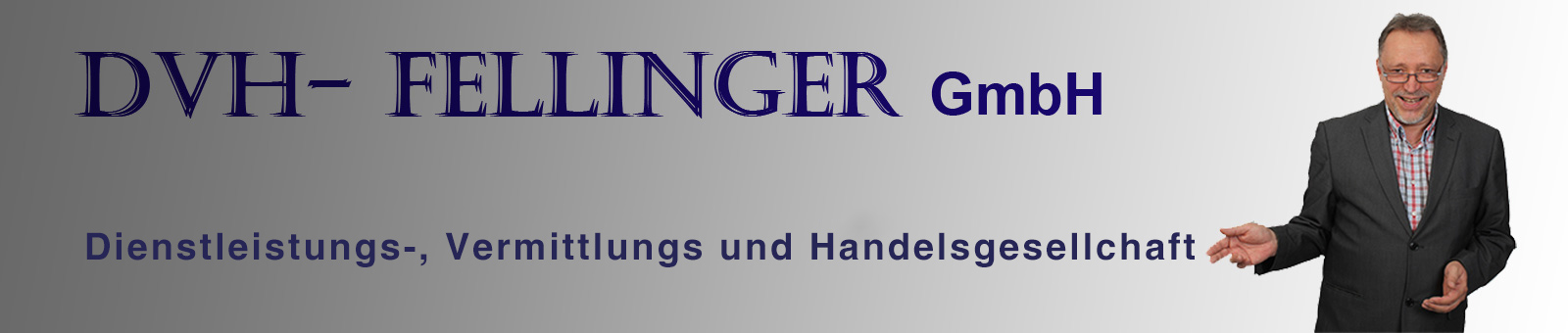 DVH-Fellinger GmbH